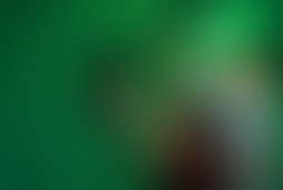 Фотография квеста Остров мертвецов от компании Oz (Фото 1)