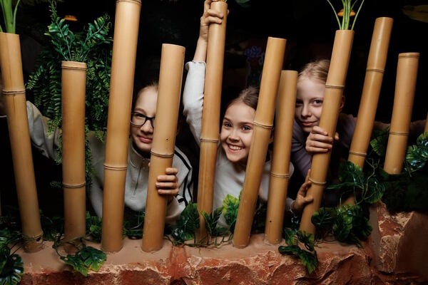 Секрет каменного змея