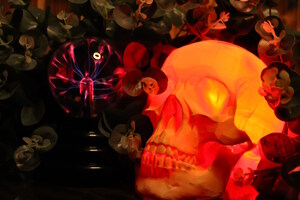 Фотография квеста Возвращение семейки Аддамс от компании House of Secrets (Фото 5)