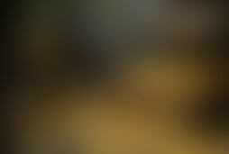 Фотография квеста Сундук мертвеца от компании Простые сложности (Фото 1)